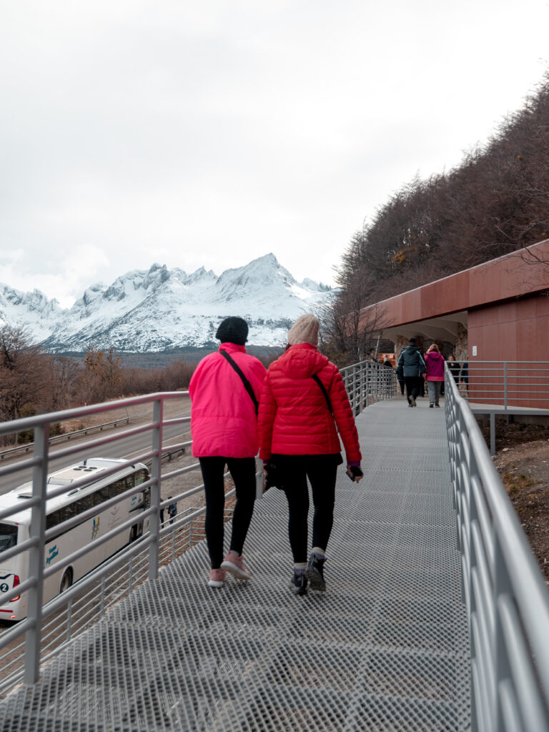 Lagos y Centro Invernal (16)